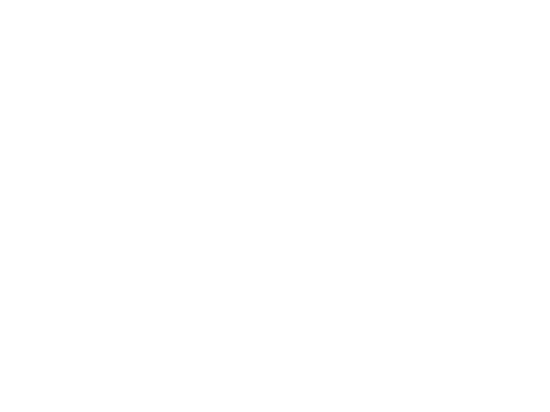 Ryanair Logo
